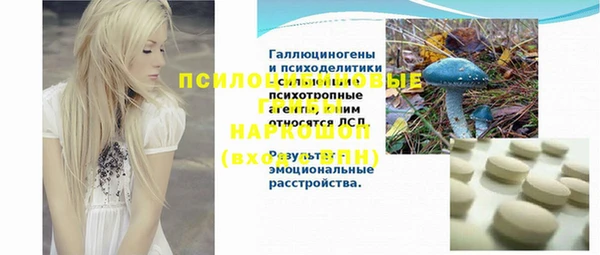винт Лабытнанги